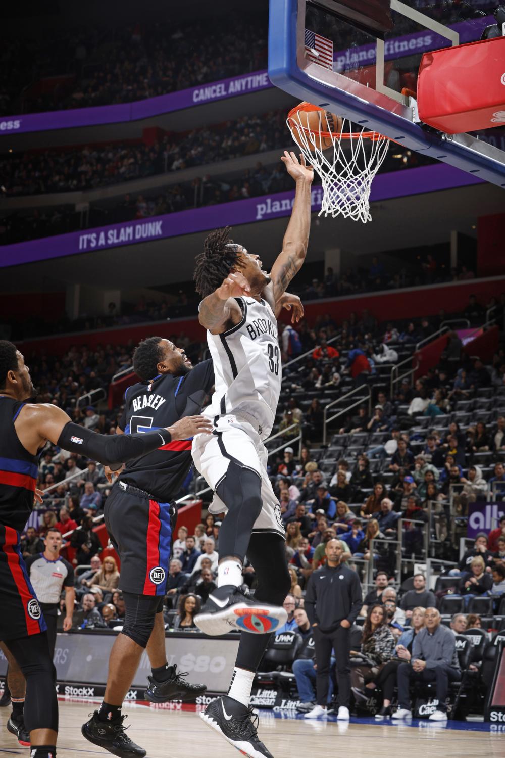 紫百合的竞 紫百合的竞